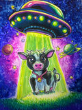Space joy ride